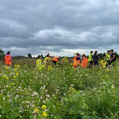 A group of youth working in a field