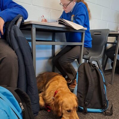 Student working at a table with a dog at her feet