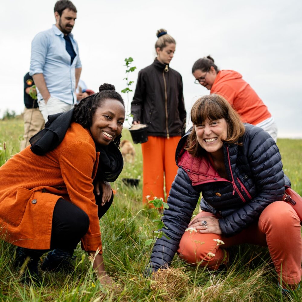 People planting trees